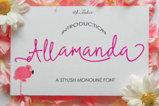 Allamanda: A Font That Adds Personality to Branding Projects