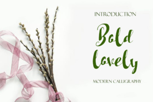 Bold Lovely: The Font That Elevates Your Campaigns
