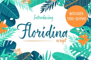 Floridina: A Font for Summer Vibes and Modern Branding