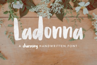 Font Choice That Speaks Volumes: How Ladonna Elevates Campaign Design