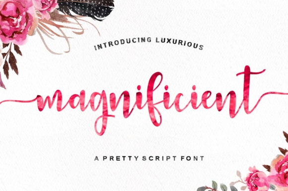 Magnificient: A Font That Elevates Your Brand’s Visual Story