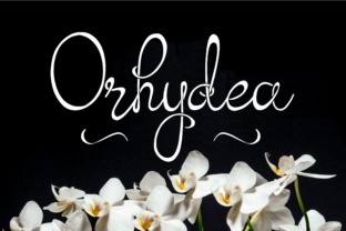 Orhydea: A Handmade Script Font That Elevates Digital Branding