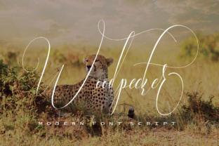 Woodpecker: A Script Font for Elegance and Impact